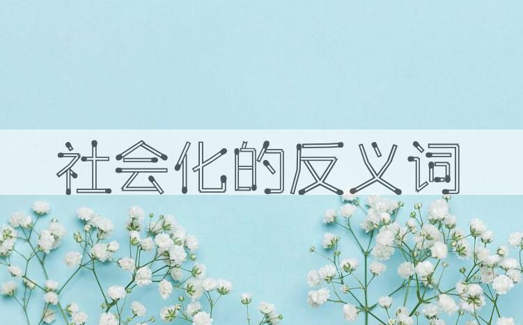 用社会化造句
