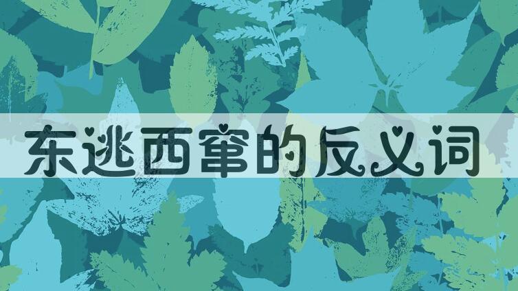 用东逃西窜造句