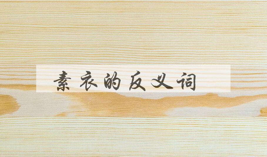 用素衣造句