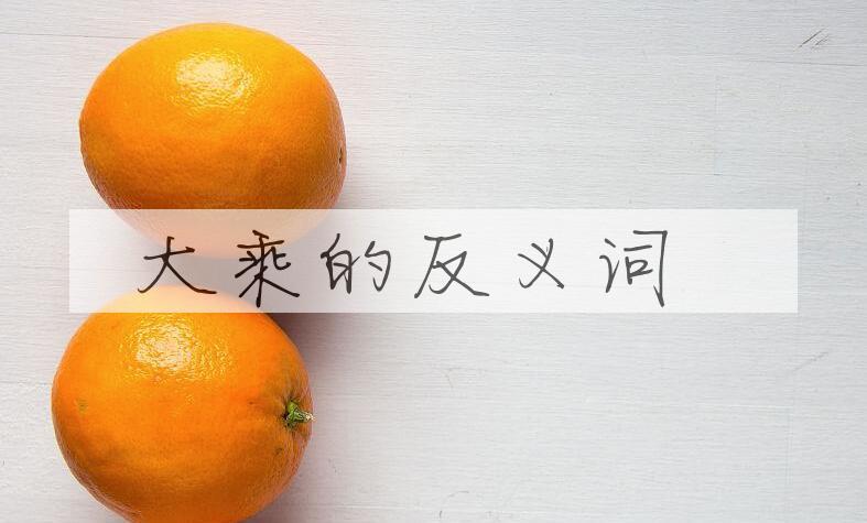 用大乘造句