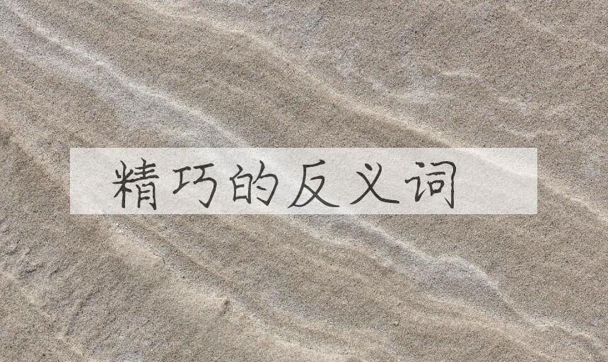用精巧造句