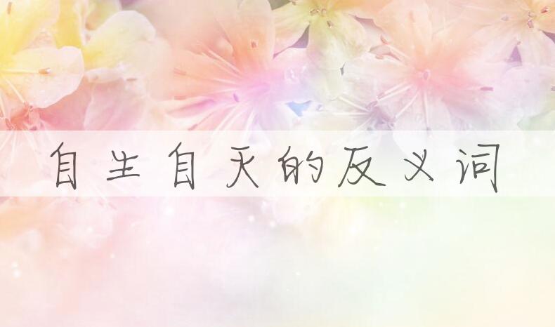 用自生自灭造句