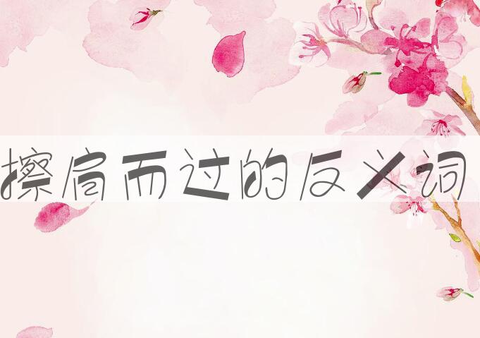 用擦肩而过造句