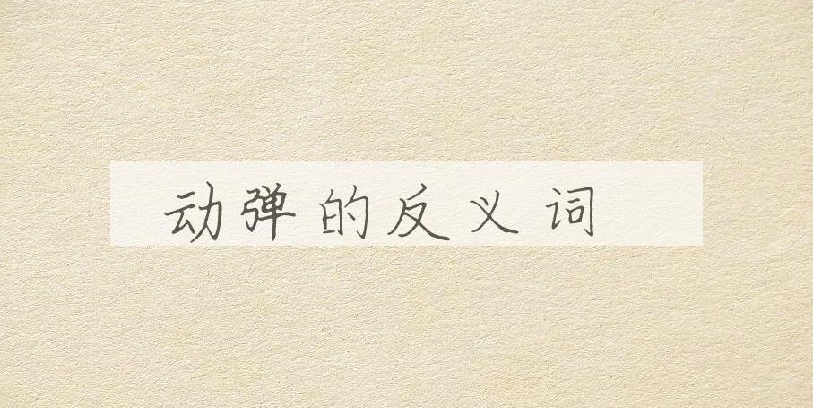 用动弹造句