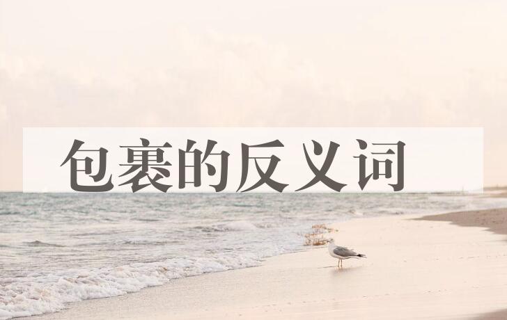 用包裹造句