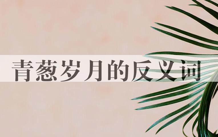 用青葱岁月造句