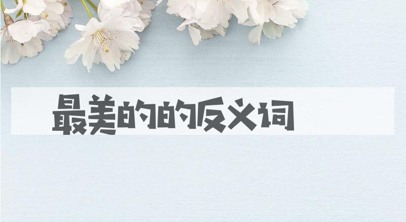 用最美的造句