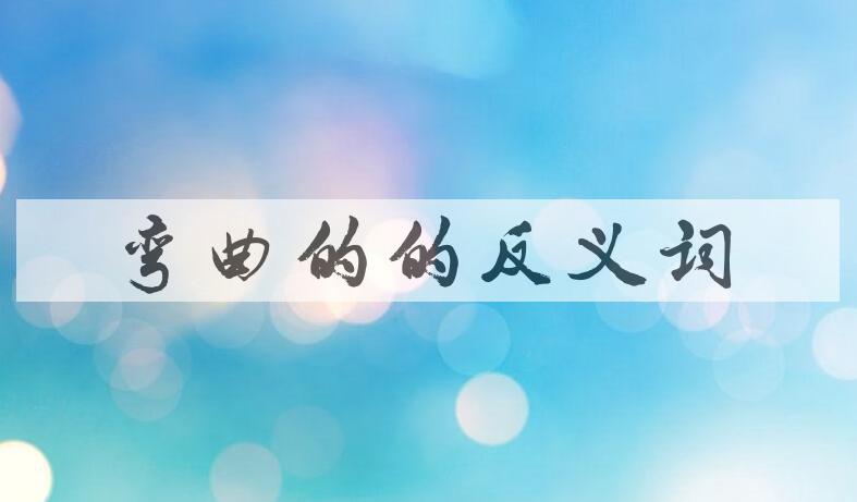 用弯曲的造句