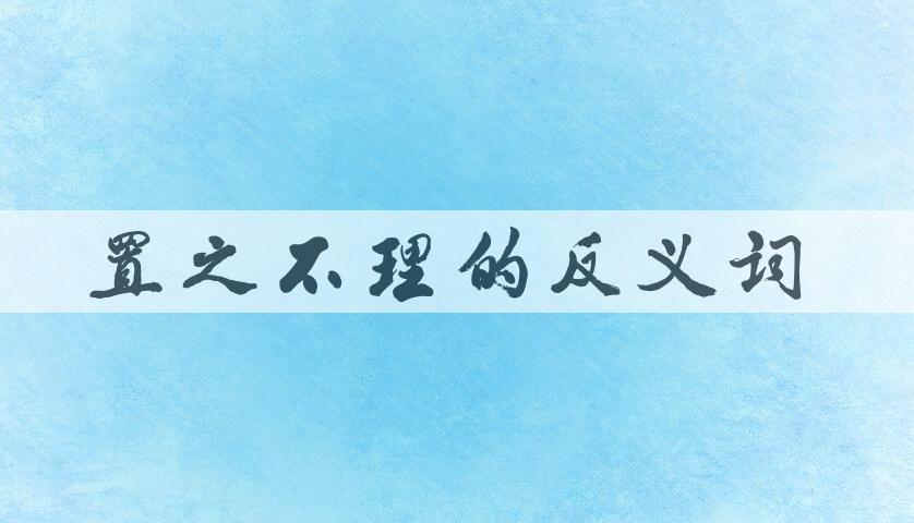 用置之不理造句
