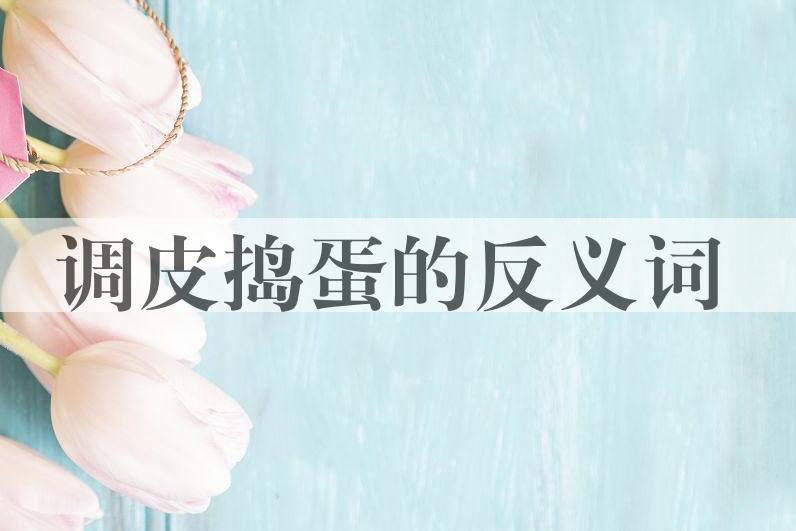 用调皮捣蛋造句