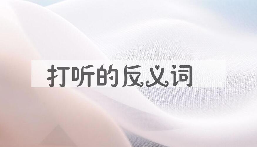 用打听造句