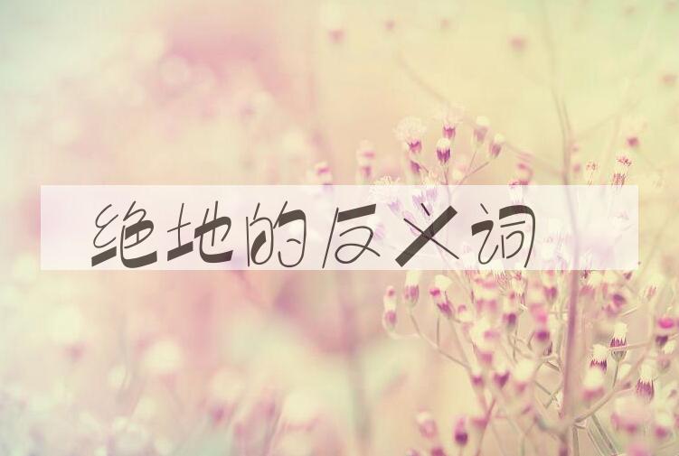 用绝地造句