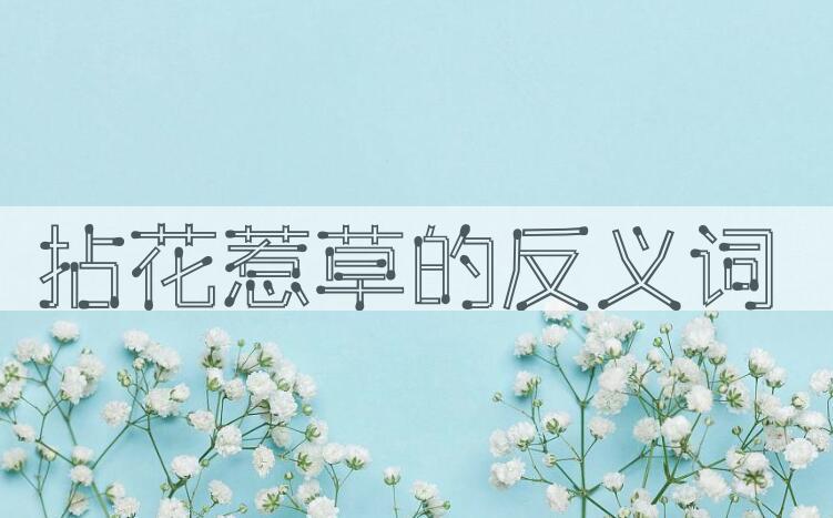用拈花惹草造句