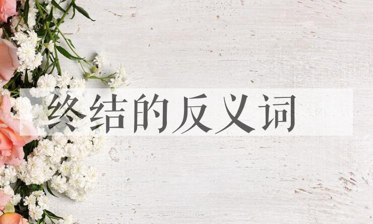 用终结造句