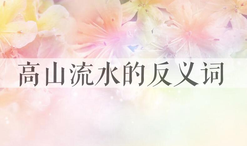 用高山流水造句