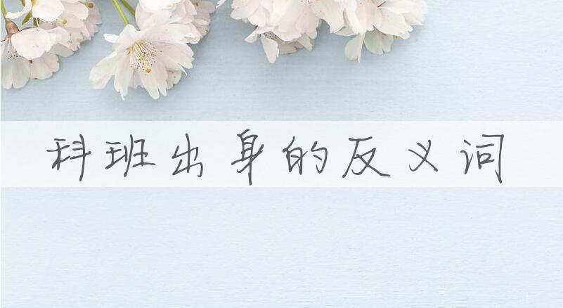 用科班出身造句