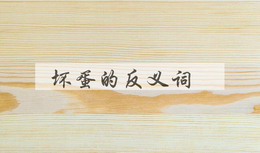 用坏蛋造句