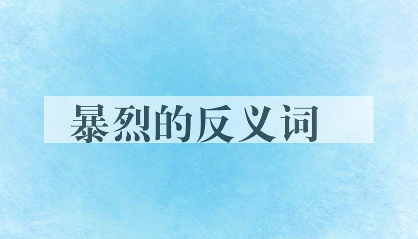 用暴烈造句