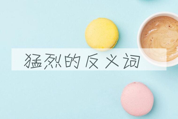 用猛烈造句