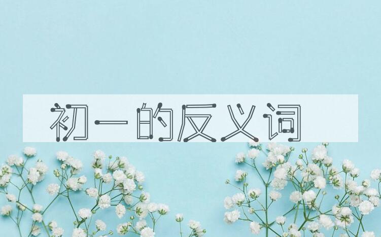 用初一造句