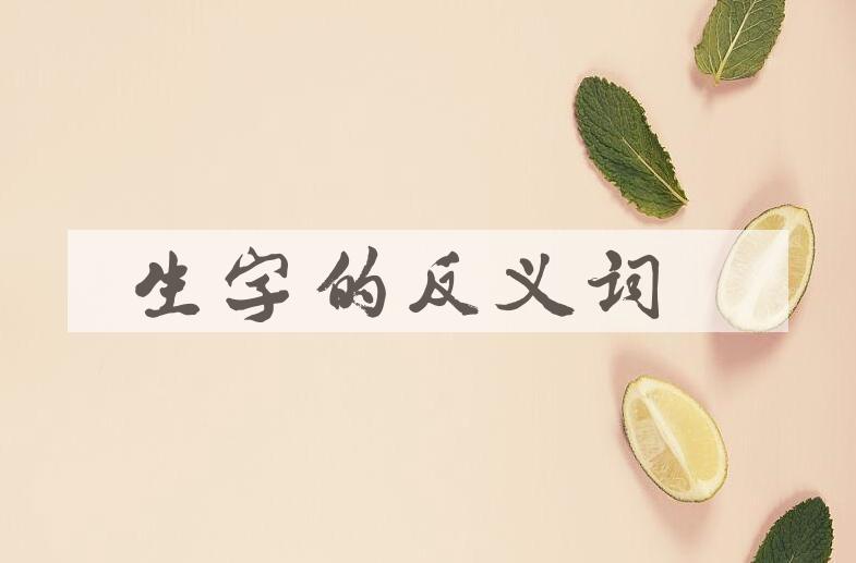 用生字造句