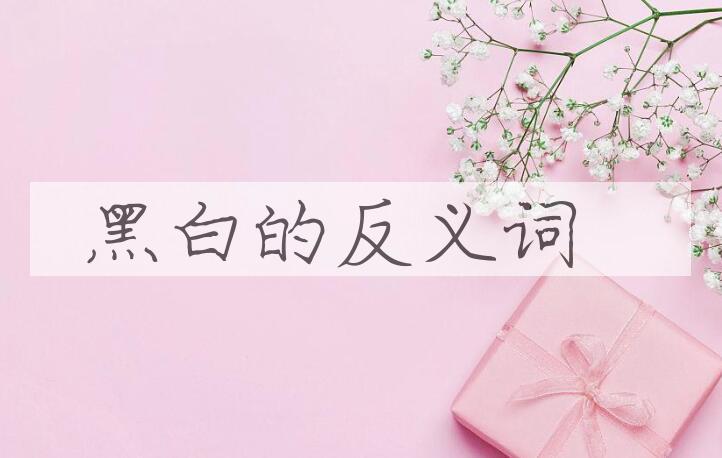 用黑白造句