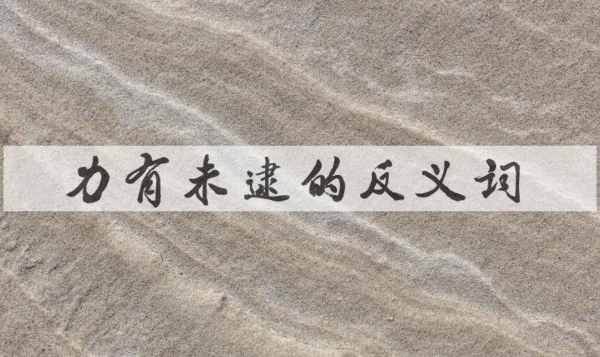 用力有未逮造句