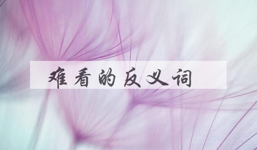 用难看造句