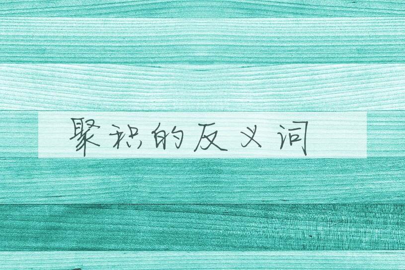 用聚积造句