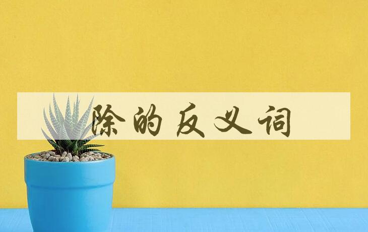用袪除造句
