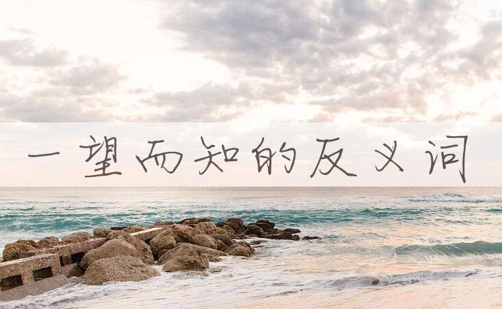 用一望而知造句