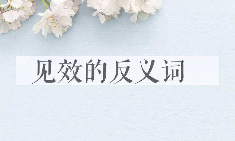 用见效造句