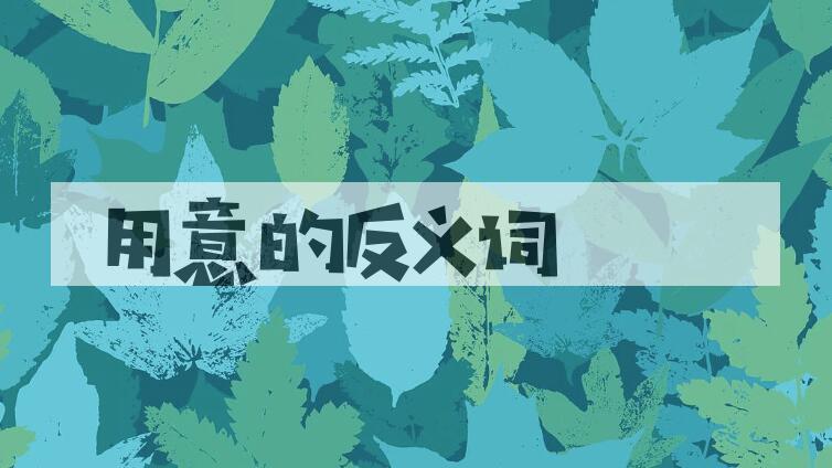 用用意造句