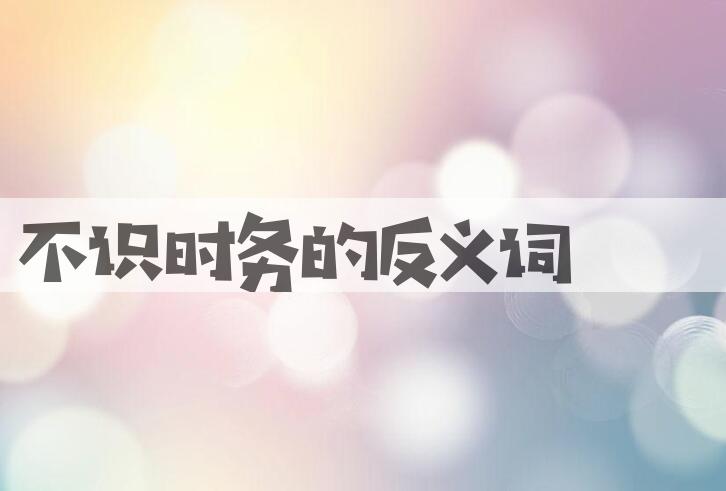 用不识时务造句
