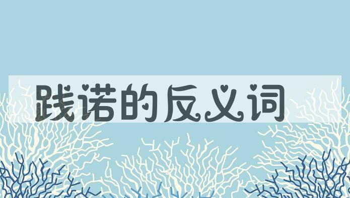 用践诺造句