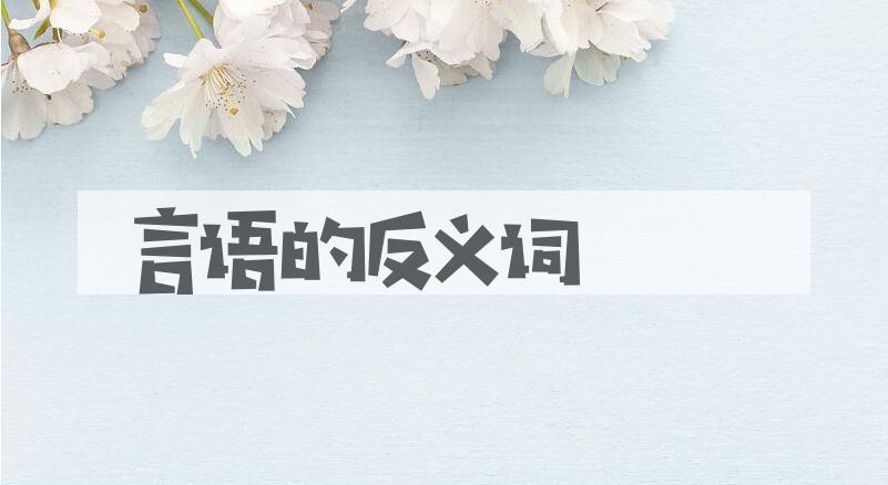 用言语造句