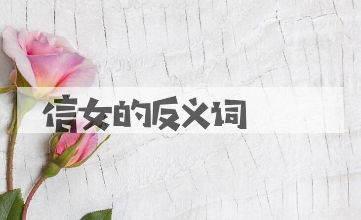 用信女造句