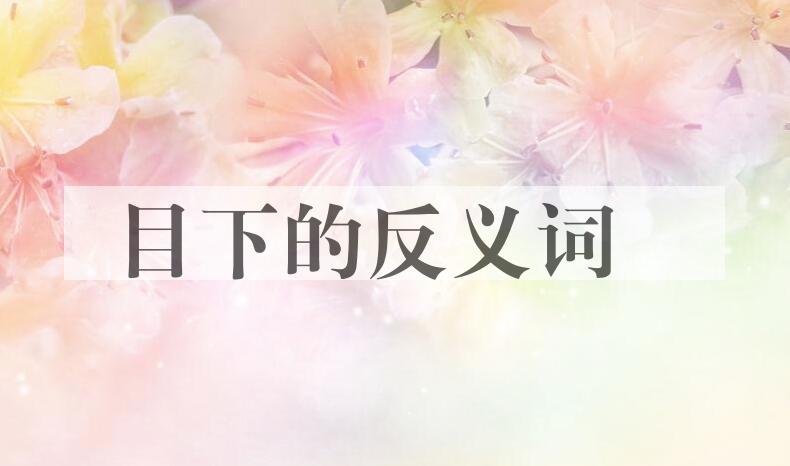 用目下造句