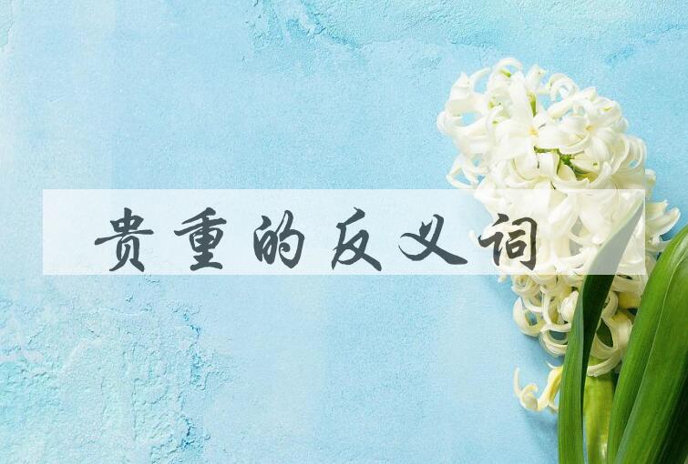 用贵重造句