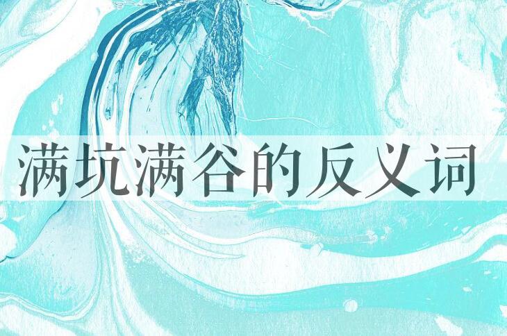 用满坑满谷造句