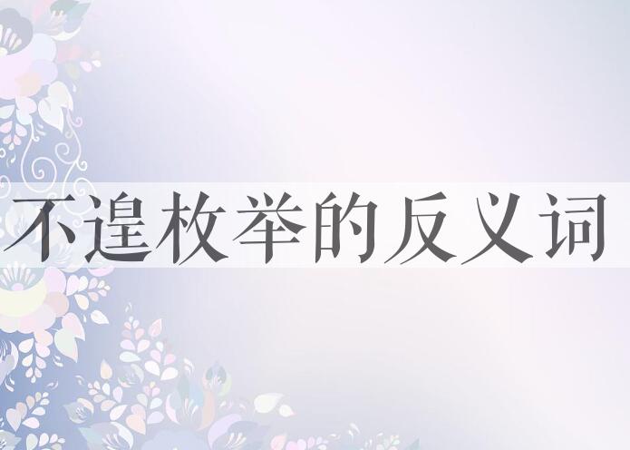 用不遑枚举造句