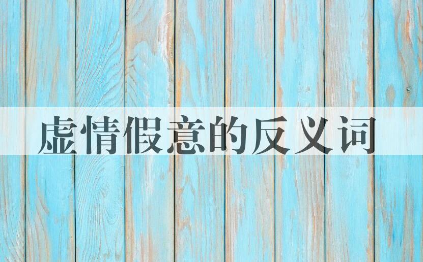 用虚情假意造句