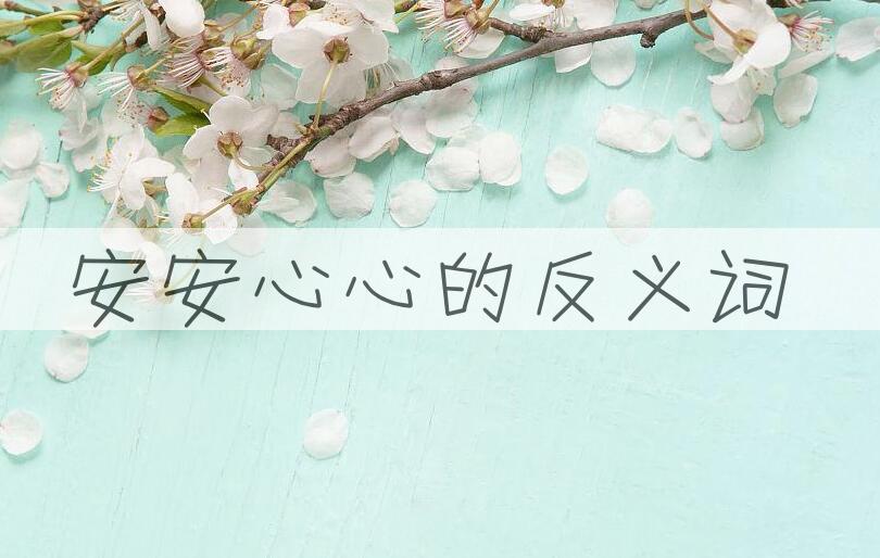 用安安心心造句