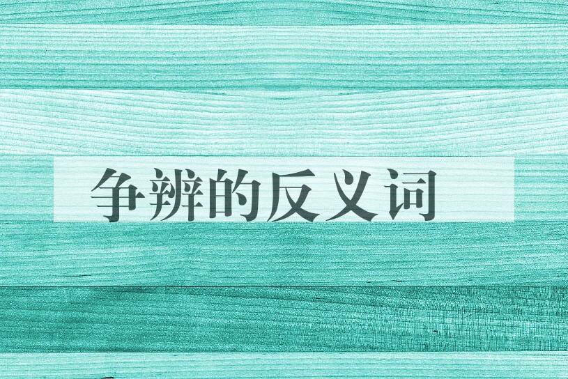 用争辨造句