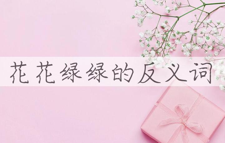 用花花绿绿造句