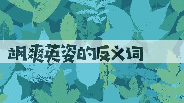 用飒爽英姿造句