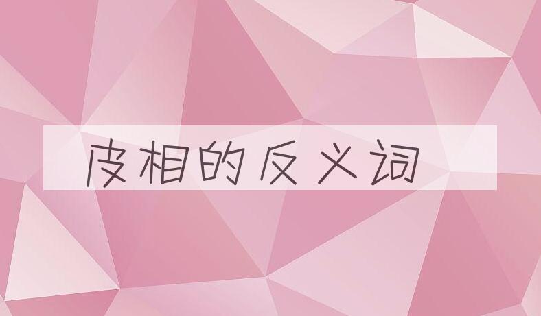 用皮相造句