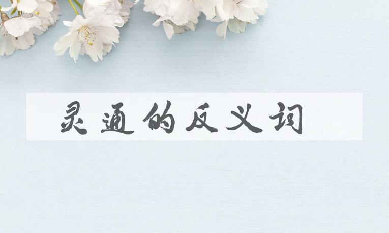 用灵通造句