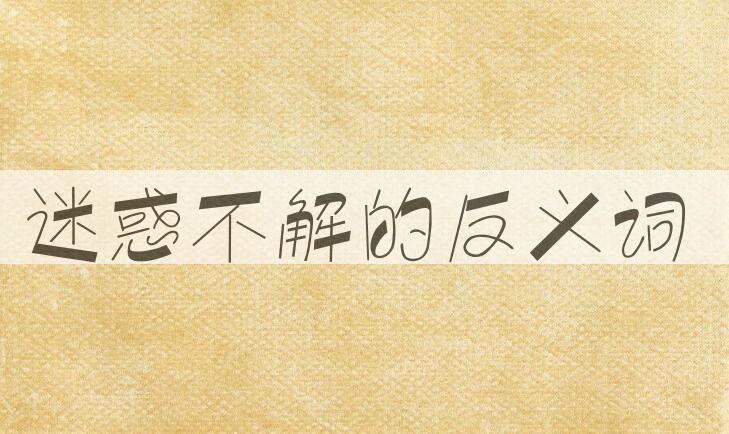 用迷惑不解造句