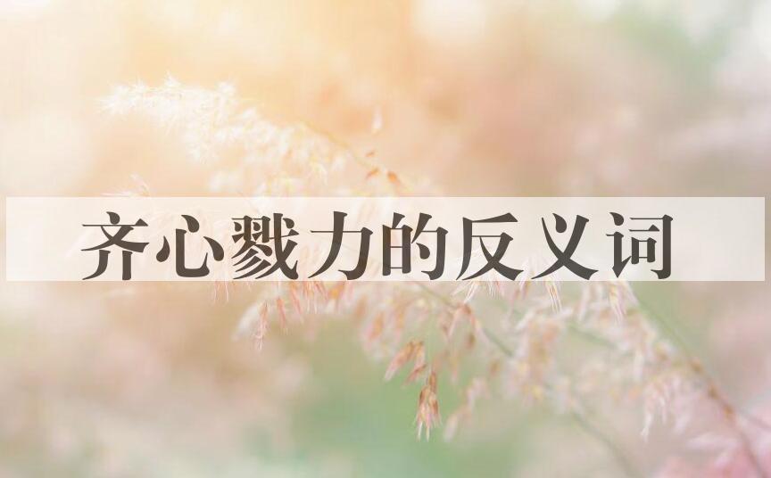 用齐心戮力造句
